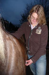 Diana Veldhuizen - Tierärztin für Pferde